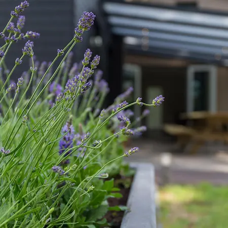 Boshuys 20 Personen Met Jacuzzi En Sauna * Wekerom