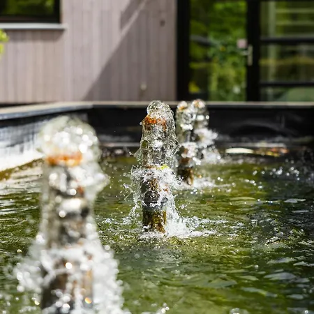 Boshuys 20 Personen Met Jacuzzi En Sauna