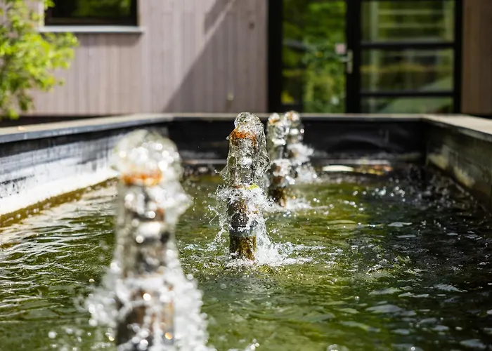 Boshuys 20 Personen Met Jacuzzi En Sauna