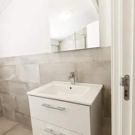 Holiday home Boshuys 20 Personen Met Jacuzzi En Sauna